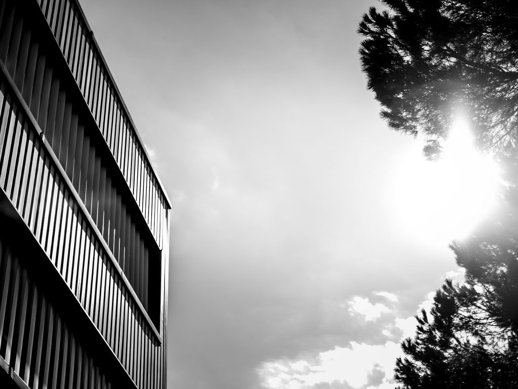 foto dettaglio dell'azienda Alpi a modigliana in provincia di Forlì