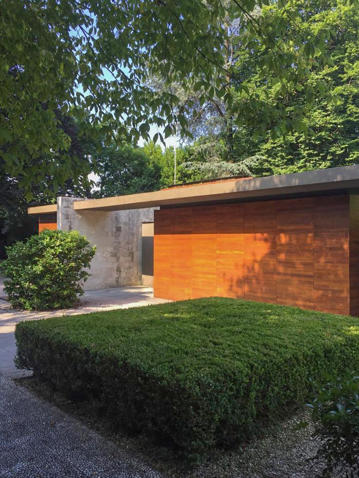 Square hedge in front of a wooden wall