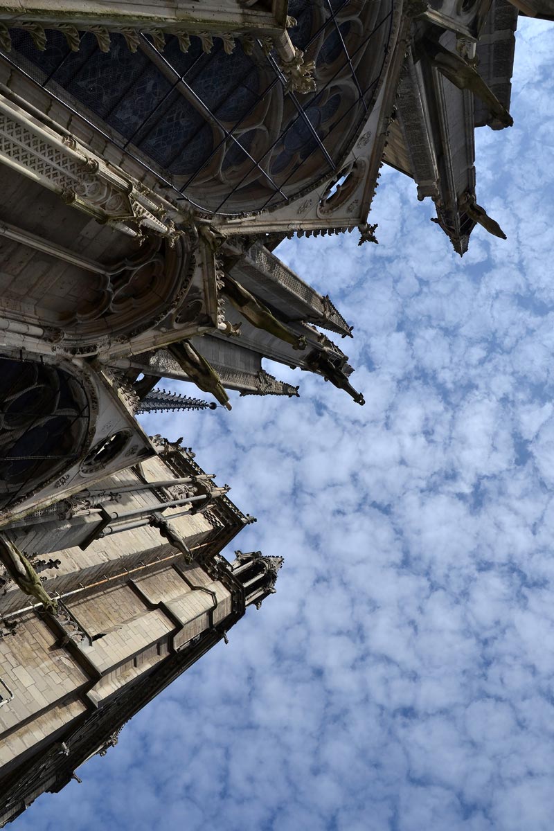 Spiers of Notre Dame pointing to the sky