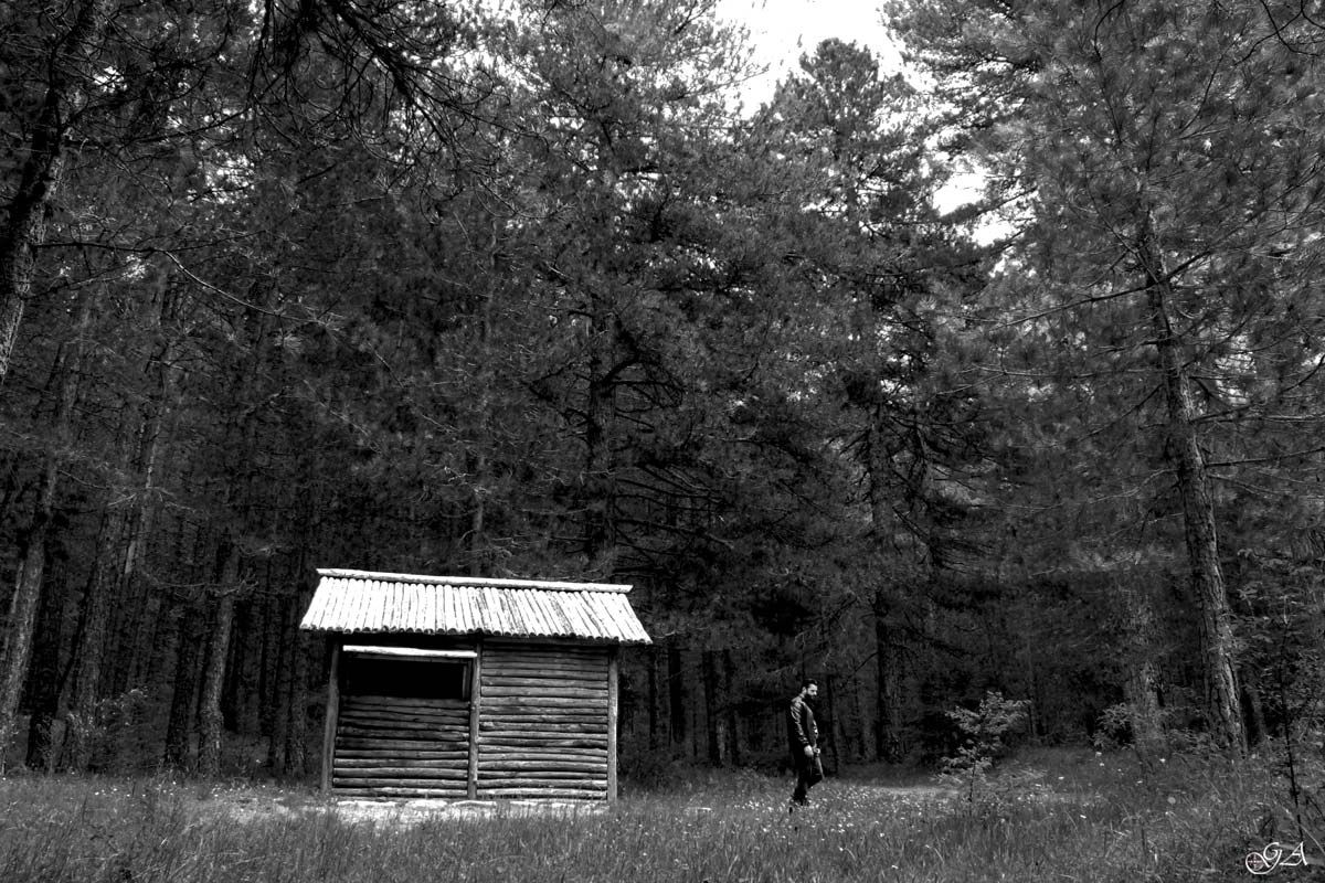 Black and white photo of the Sila National Park with trees and shed