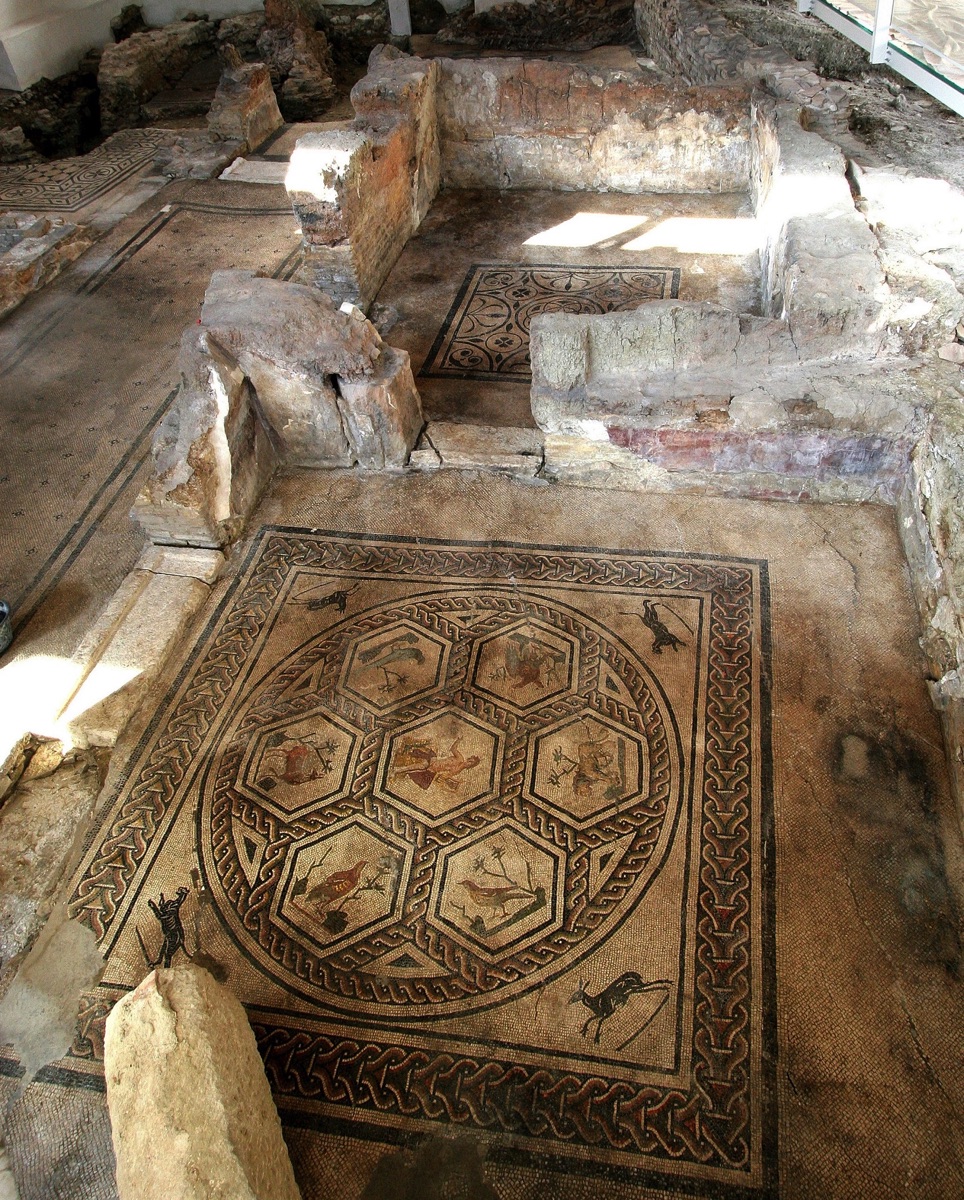 Domus Chirurgo