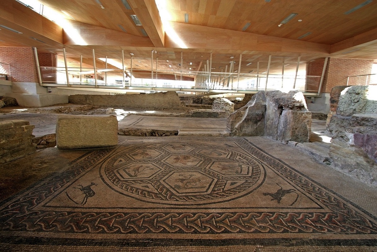 Domus Chirurgo