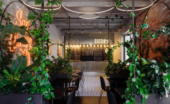 Ciccio's Burger